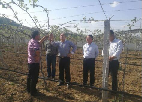 陕西省将实施百名科技特派员助力百村振兴行动