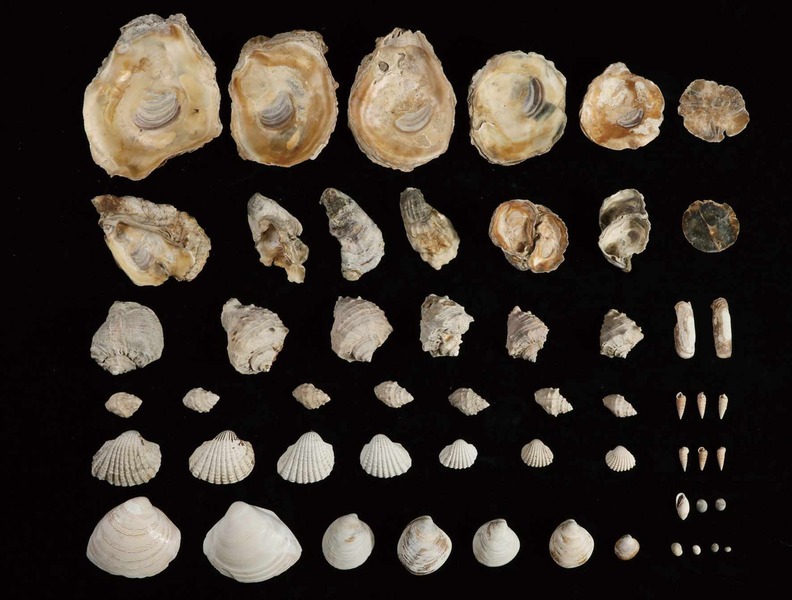 20210506111538452.jpg 20210506111538452.jpg