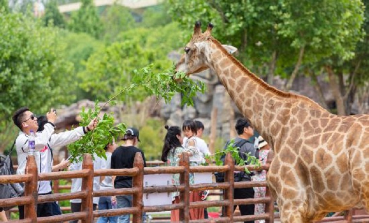 假日经济释放文旅消费潜力，山东“成绩单”来啦