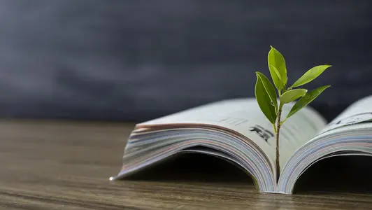 突出师德师风第一标准 教育部明确师范生教师四大能力