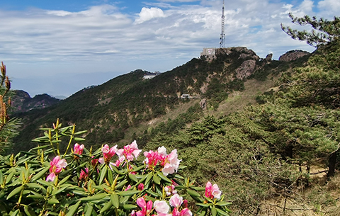 安徽省“五一”接待游客超疫前同期 旅游收入恢复至疫前同期九成