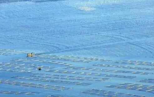 福建省4个海洋生态保护修复项目获中央财政补助