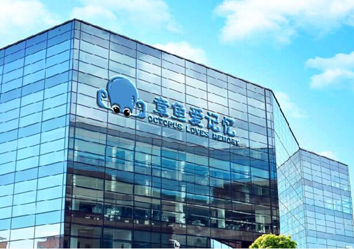 章鱼爱记忆—如何运用科学有效的方法帮助孩子强化记忆提升学习成绩？