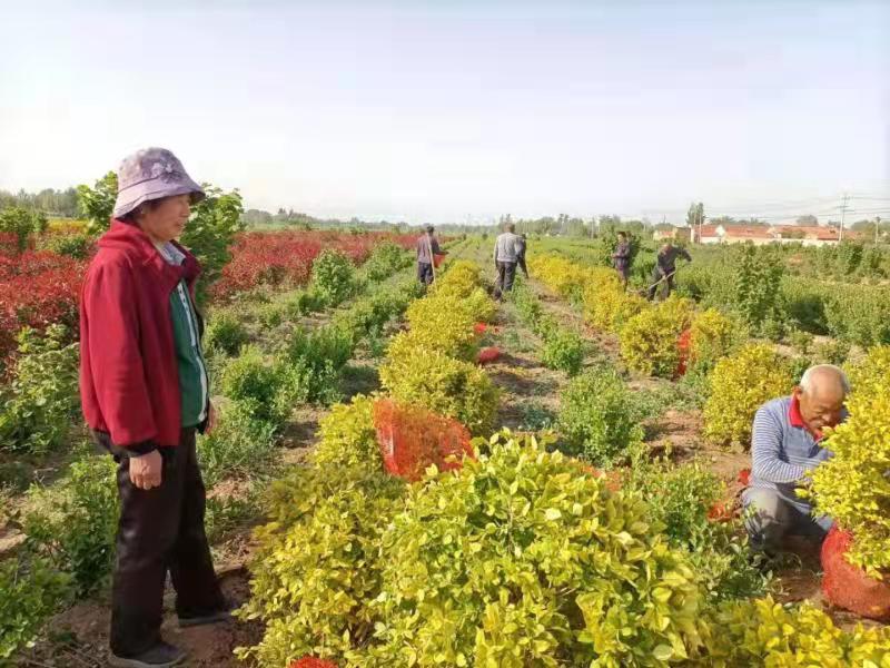 德平镇党史教育注重解决百姓的“急难愁盼”