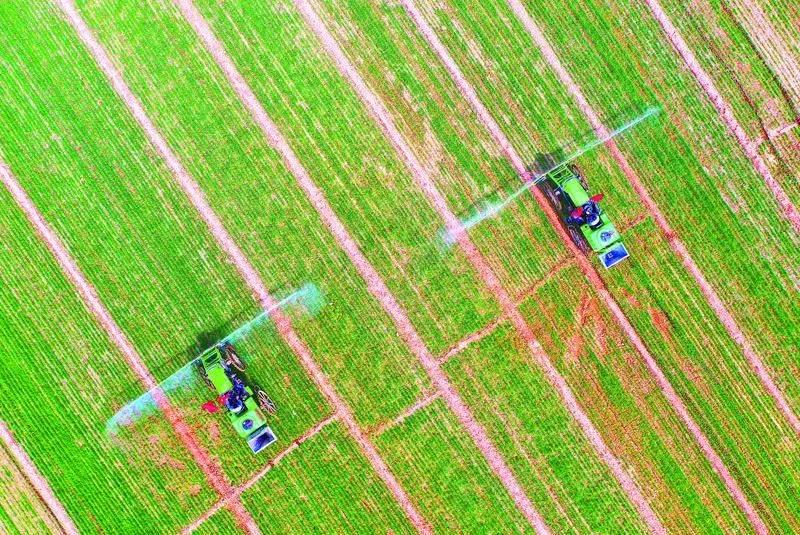 全省唯一！德州乡村振兴项目入选国家级专家服务基层示范团