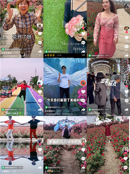 五一小长假，万人同乐美栖花田，玫瑰与夏风在等你