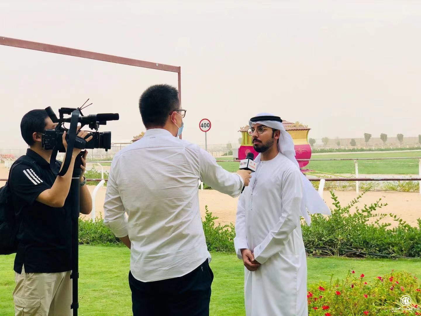 后疫情时代驼奶受宠，迪拜紫盒Camelicious纯驼奶构筑强大抵抗力