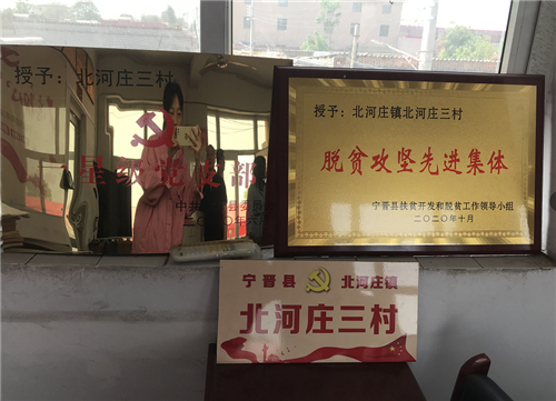 扎根基层 智慧带动乡亲致富——记宁晋县北河庄镇北三村书记史国红