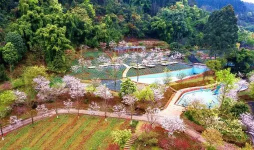 夜游、酒店宅……旅游新场景激发消费潜力