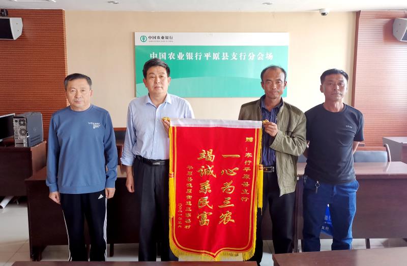 农行平原县支行实事实办扶持“西葫芦”生产