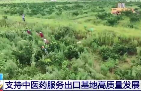 7部门联合印发通知 支持中医药服务出口基地高质量发展