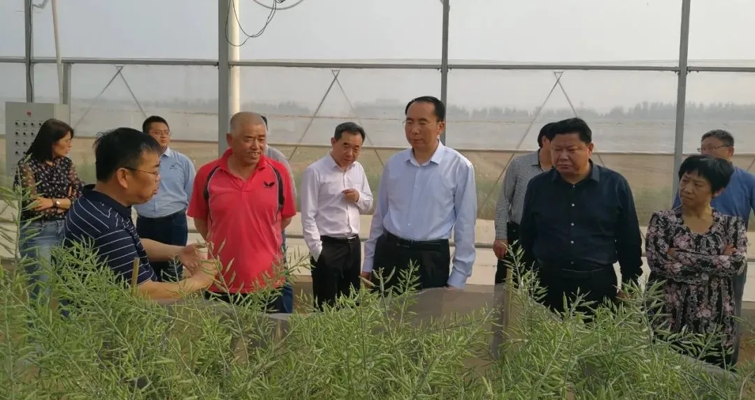 市人大常委会到德州运河新区调研全市种业发展情况