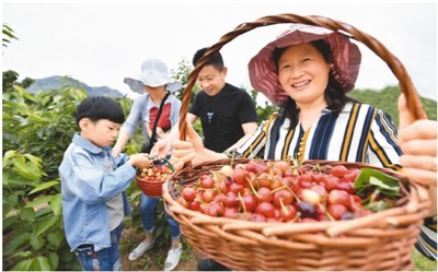 人民日报海外版头版头条聚焦临沂：樱桃红遍厉家寨