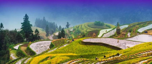 北京恒昌公司创新开拓OMO线上线下融合消费扶贫新零售模式