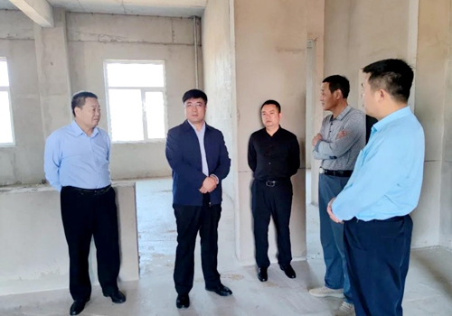 王立军督导全县重点项目建设情况