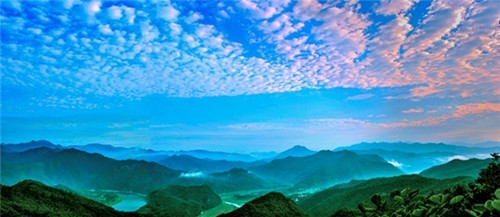 仲景之光普照医圣故里——仲景宛西制药守正创新高质量发展纪实