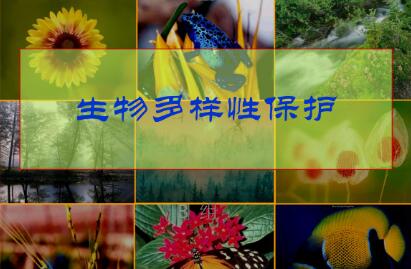 我国生物多样性保护取得积极进展