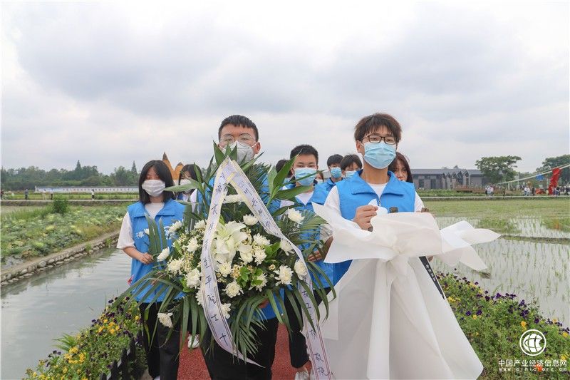 风吹过稻田，我就想起您！师生深切悼念袁隆平院士！