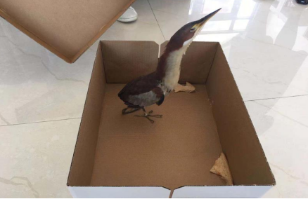 让我们共享蓝天