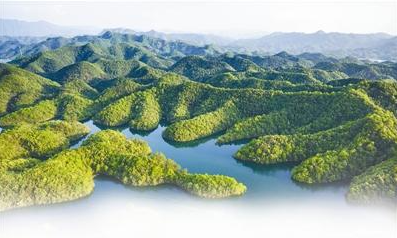 全国林业改革发展综合试点市落户宣城