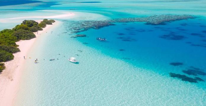 多国着力促进国际旅游市场复苏