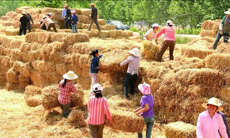 济宁市召开重点工作专题会议 于永生安排部署环保秸秆禁烧防汛等工作