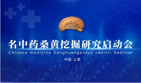传承精华 振兴国药 - 名中药桑黄挖掘研究启动会圆满召开