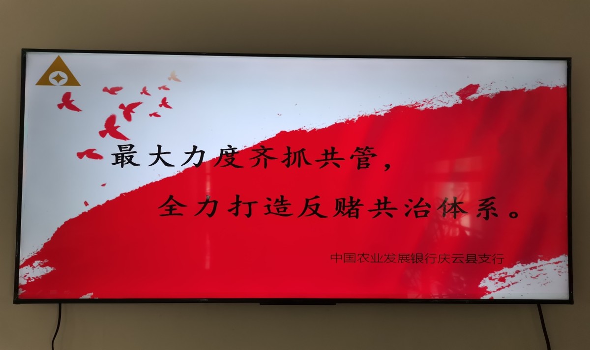 农发行庆云县支行积极开展“拒绝跨境赌博”宣传周活动
