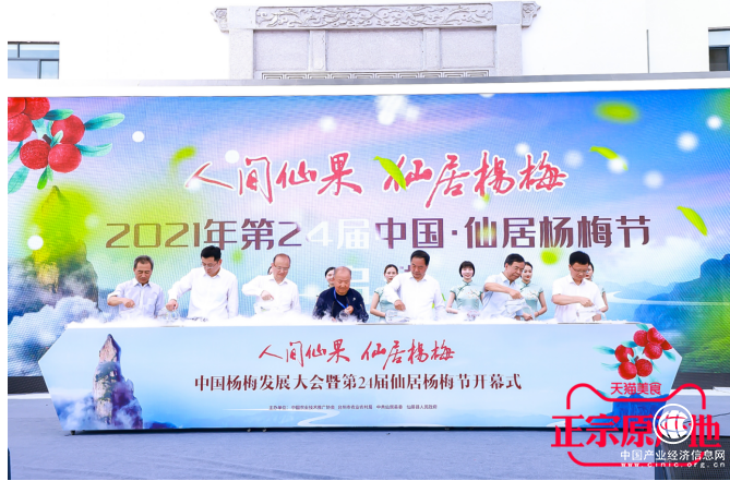 仙居杨梅产业数字化管理再升级，一颗杨梅造就大产业