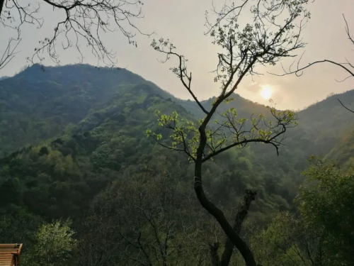 藏不住了！老山脚下两叠真墅即将火热入市！