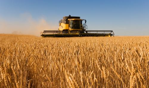 安徽省小麦单产再破纪录
