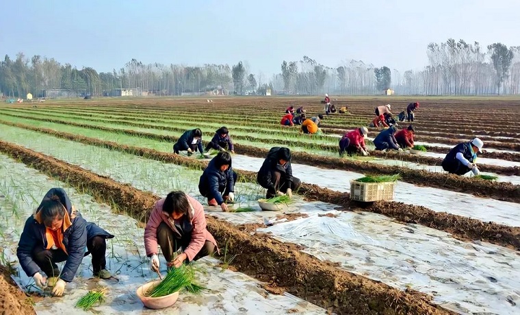 山东工行将向乡村振兴领域提供融资3000亿元