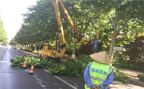 园林掀起创卫新高潮 全力打好创卫攻坚战