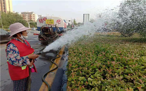薛城区新城市政园林中心“对症下药”防治夏季绿化苗木“季节病”