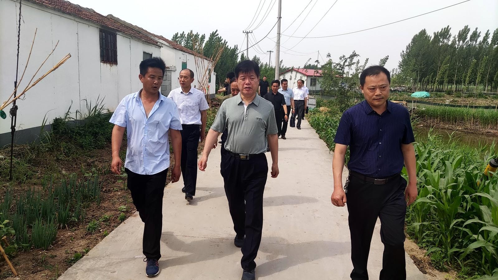 张茂如调研农村改厕排查整治和生态环境保护工作