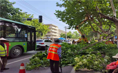 修剪树木排隐患 为民解忧暖民心
