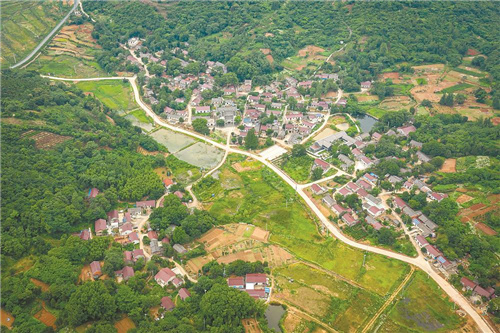 好风景带来好光景