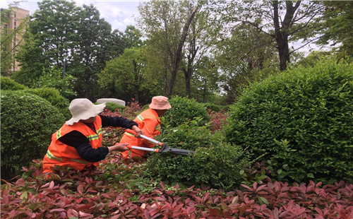 薛城区新城市政园林中心秉持“绣花”精神提升精细化管养水平