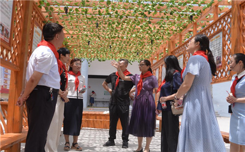 临城实验小学迎接薛城区少先队工作规范化学校验收