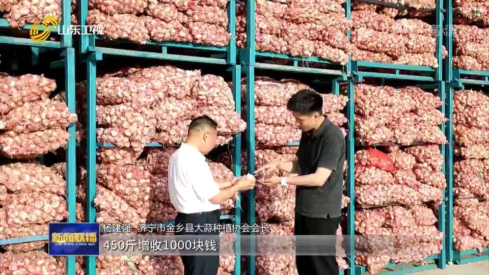 「牢记嘱托 扎实实施乡村振兴战略」山东济宁金乡：大蒜插上“云”翅膀