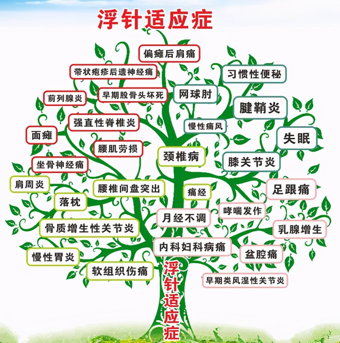 神奇的浮针 小针大用处|德州市中医院开展中医适宜技术----浮针疗法