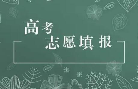 各地高考分数线陆续公布！教育部提醒：当心志愿填报“三大陷阱”