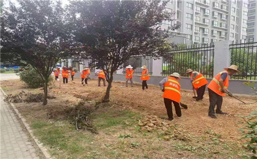 市容环境综合整治 喜迎建党100周年