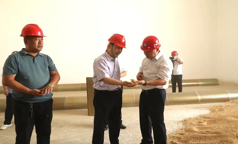 虢洪增到惠丰江北粮食物流园调研视察夏粮收购工作