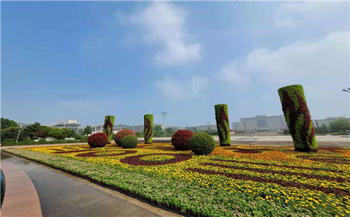 庆祝建党100周年 枣庄新城4组立体花坛扮靓街头