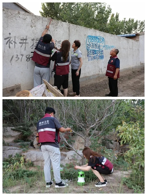 德州市疾控中心开展蚊虫标本采集和指导工作