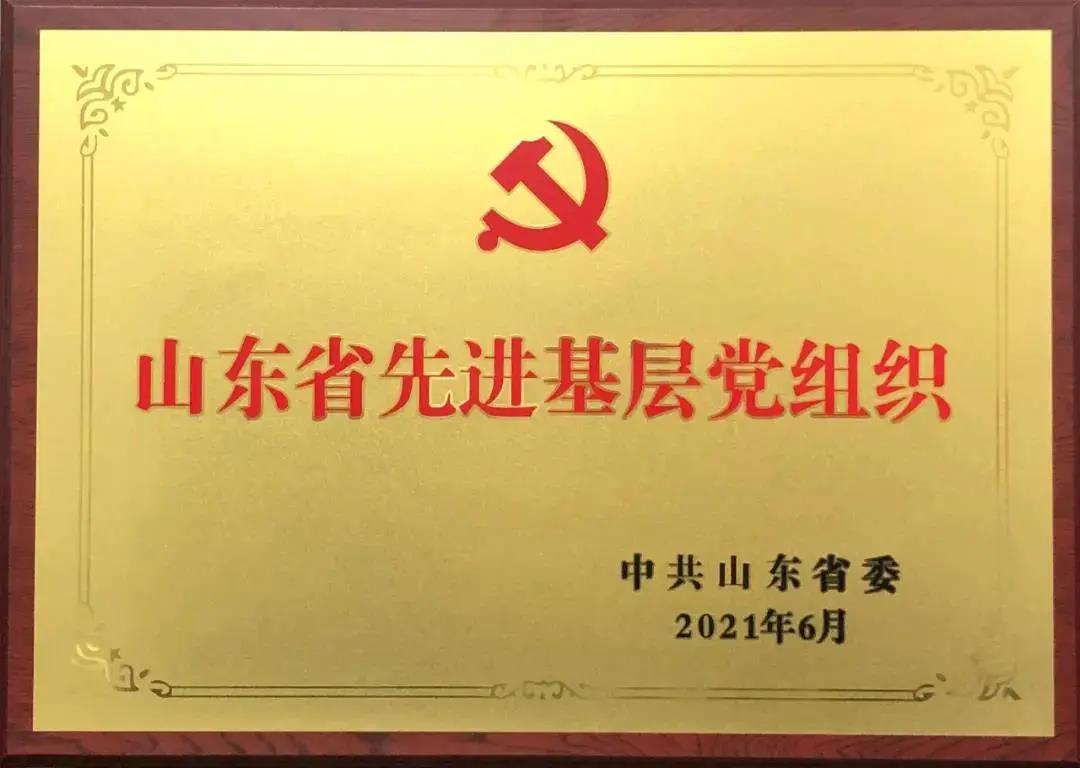 省级表彰|德州城投集团党委荣获山东省“先进基层党组织”称号