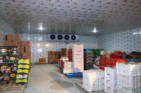 河南省发文加快推进农产品产地冷藏保鲜设施建设