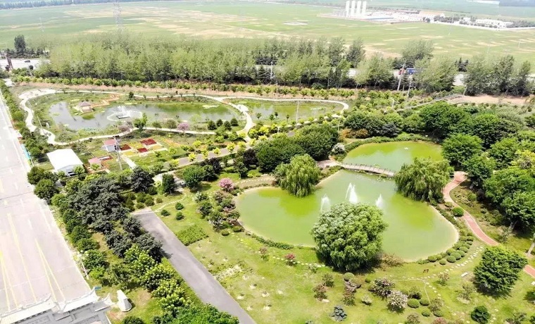 济宁高新区：聚力乡村振兴 小康成色更足