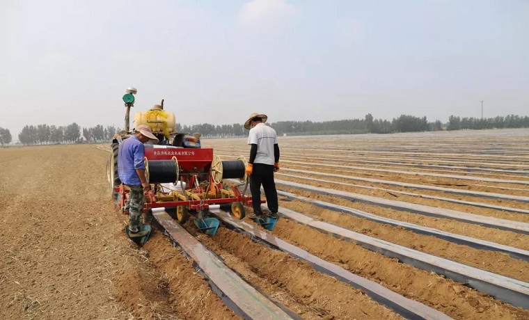党建引领巧调整，济宁曲阜市吴村镇产业兴旺助振兴